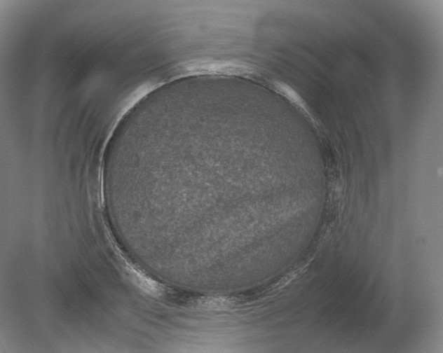 X0000080811079200701021309