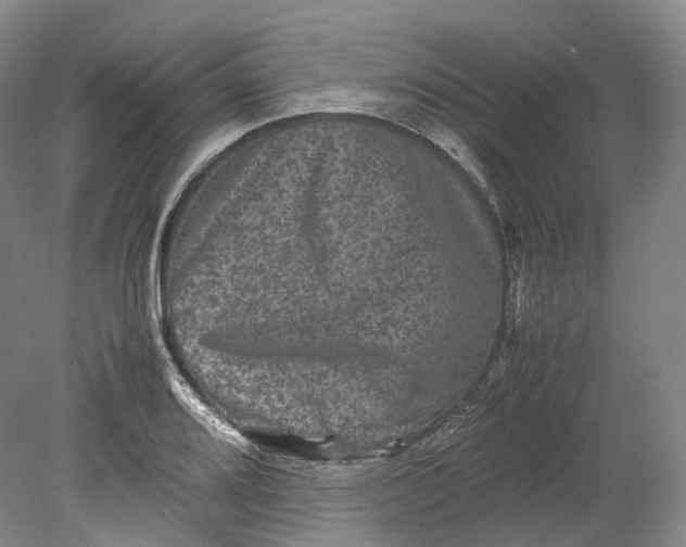 X0000080811080200701021309