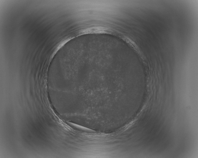 X0000080811081200701021309