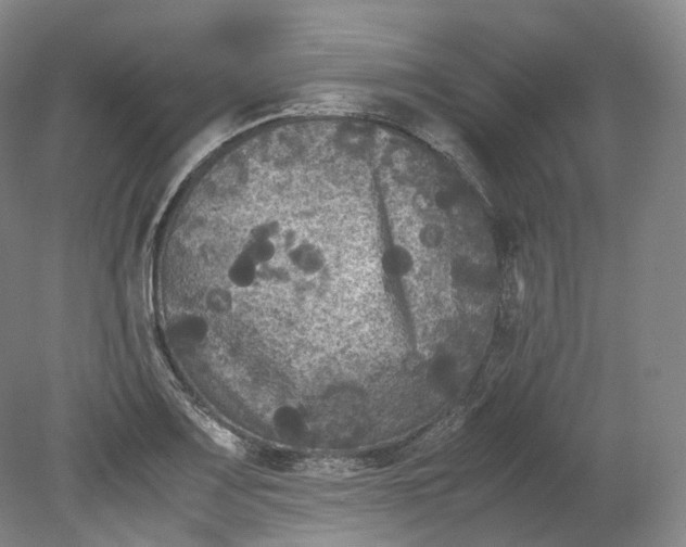 X0000080811083200701021309