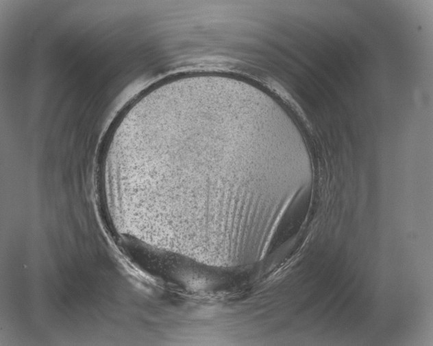 X0000080811085200701021309