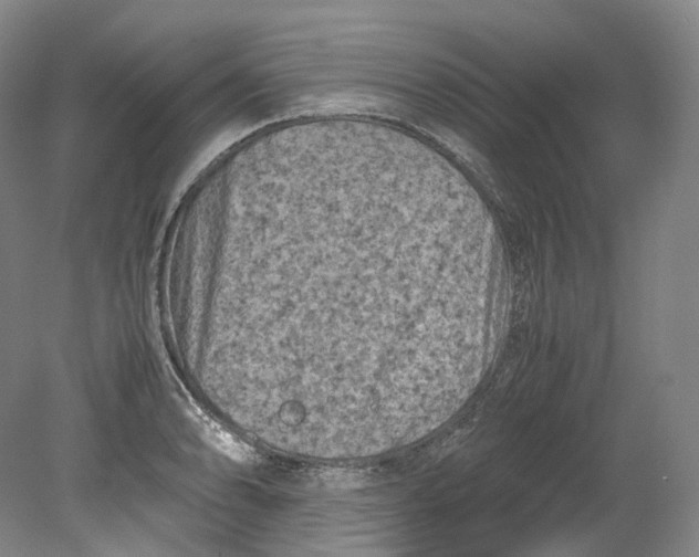 X0000080811086200701021309