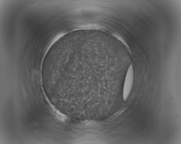 X0000080811087200701021309