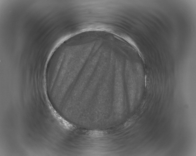 X0000080811088200701021309