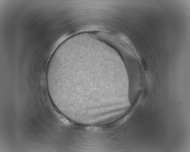 X0000080811089200701021309