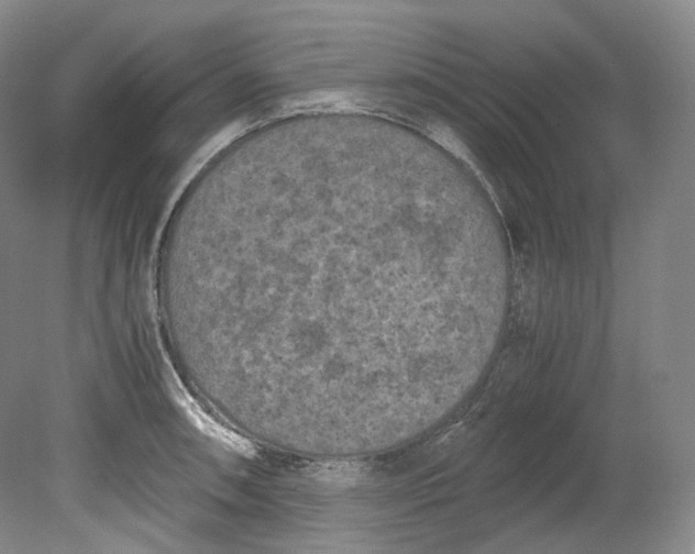 X0000080811090200701021309