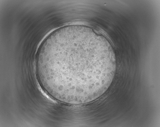 X0000080811092200701021309