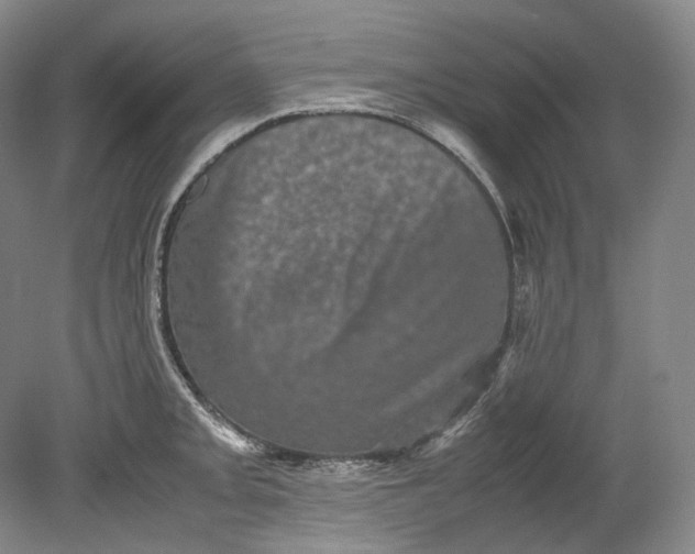 X0000080811093200701021309