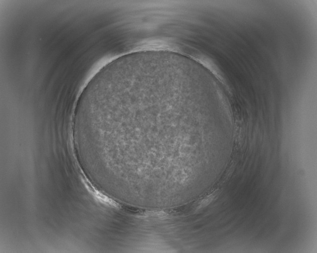 X0000080811094200701021309