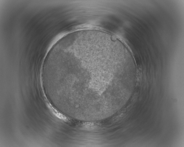 X0000080811098200701021309