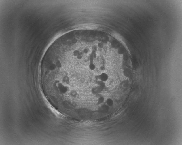 X0000080811099200701021309