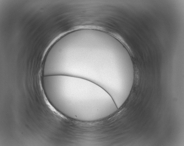 X0000080811100200701021309