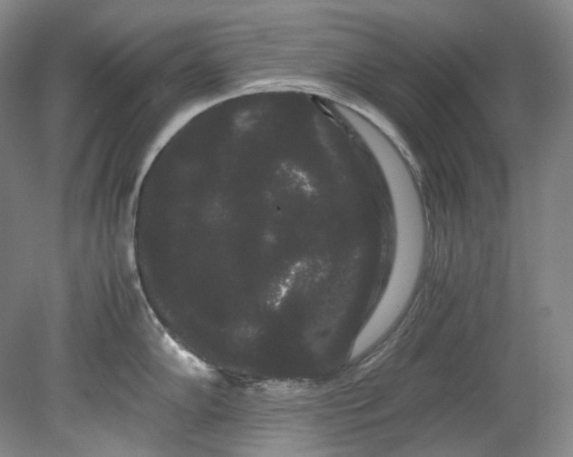 X0000080811102200701021309