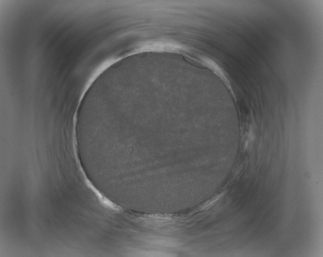 X0000080811103200701021309