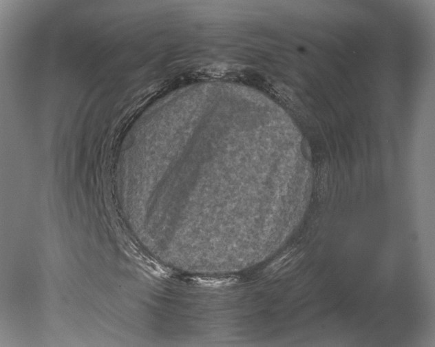 X0000080811105200701021308