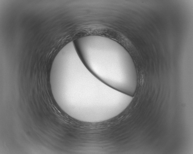 X0000080811108200701021308