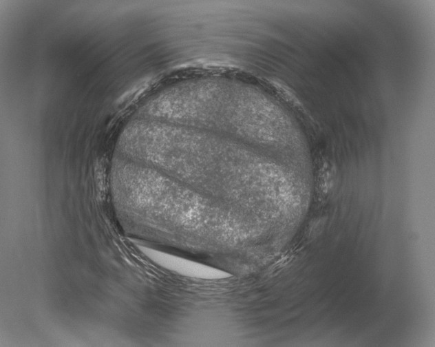 X0000080811110200701021308