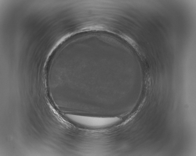 X0000080811118200701021308