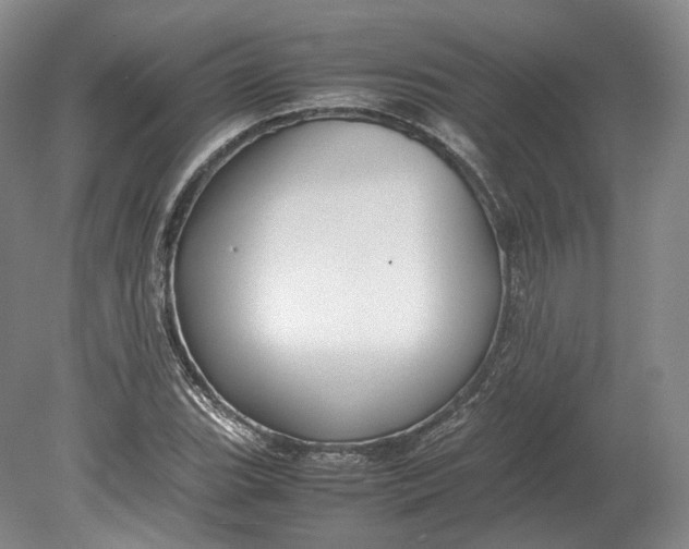 X0000080811119200701021308