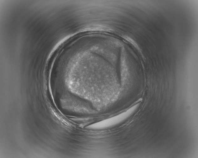 X0000080811120200701021309