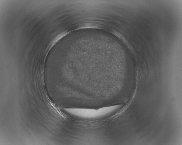 X0000080811121200701021309