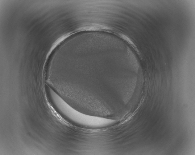 X0000080811122200701021309