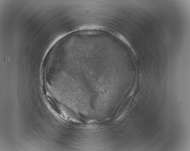 X0000080811124200701021309