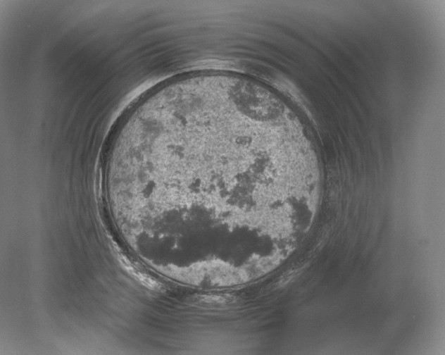 X0000080811125200701021309