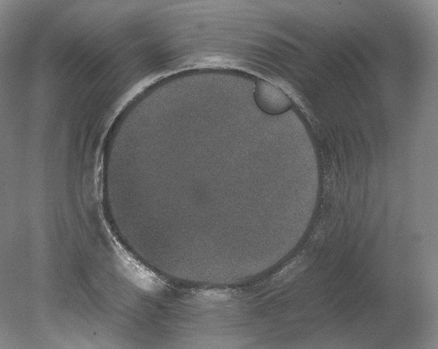 X0000080811126200701021309