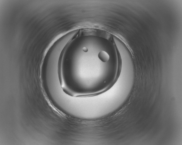 X0000080811128200701021309