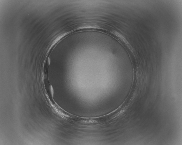 X0000080811129200701021309