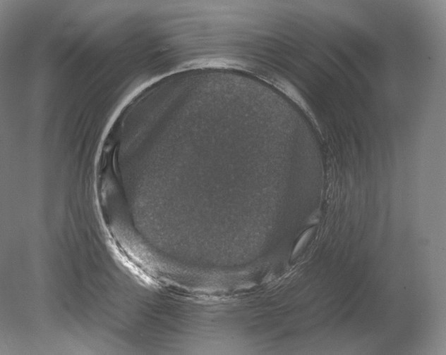 X0000080811132200701021309