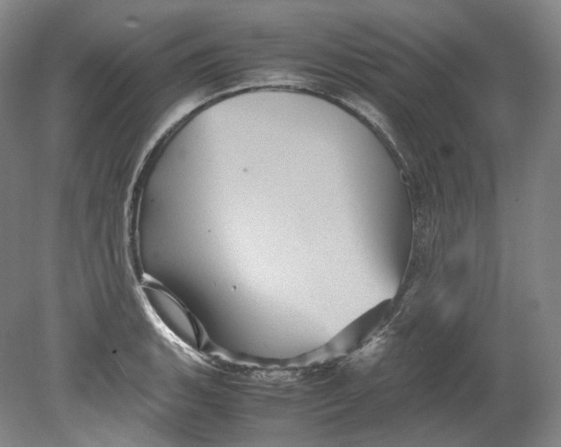 X0000080811135200701021309