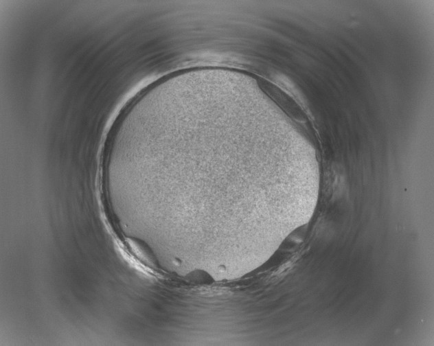 X0000080811136200701021309