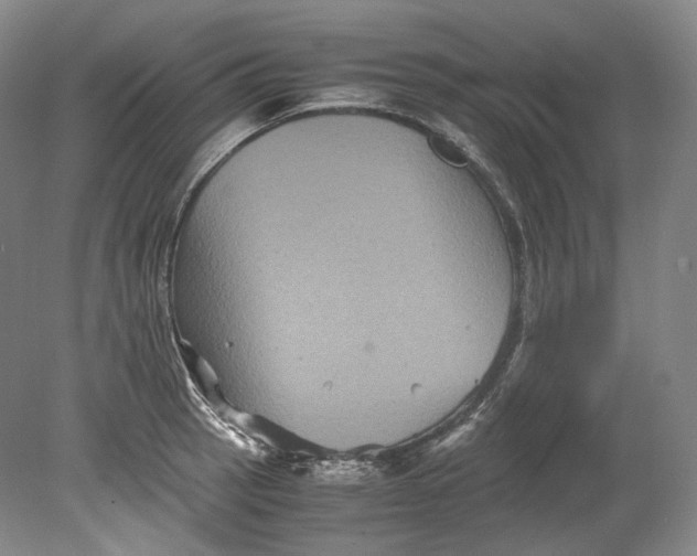 X0000080811137200701021309