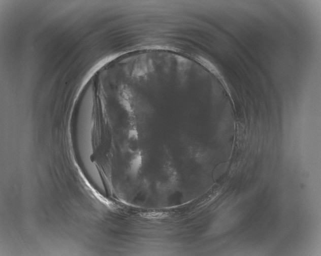 X0000080811141200701021309