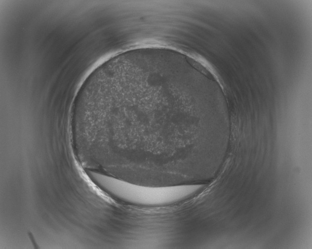 X0000080811142200701021309