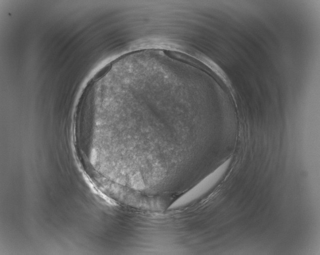 X0000080811144200701021309