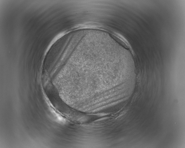 X0000080811146200701021309