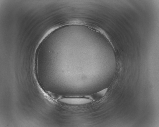 X0000080811147200701021309