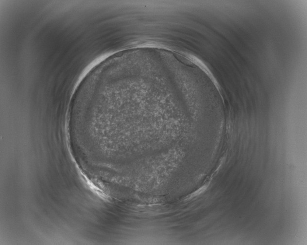 X0000080811149200701021309