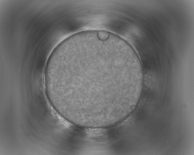 X0000080811150200701021309