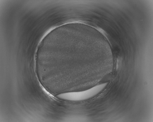 X0000080811151200701021309