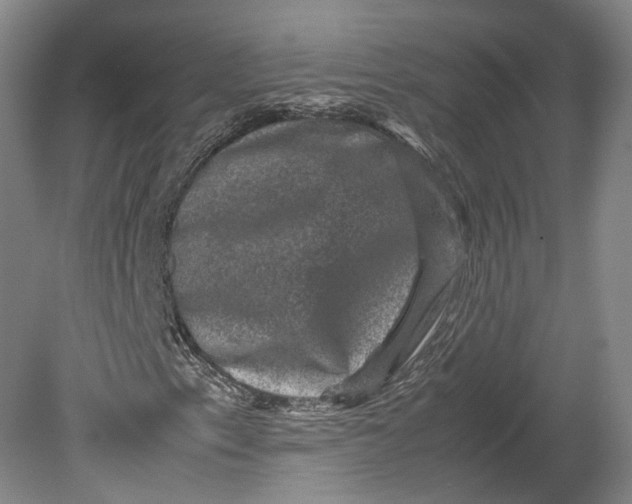 X0000080811153200701021308