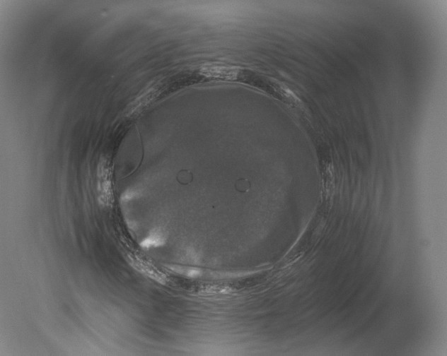 X0000080811154200701021308