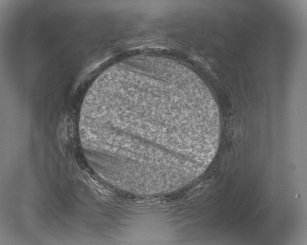 X0000080811159200701021308