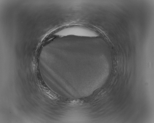 X0000080811160200701021308