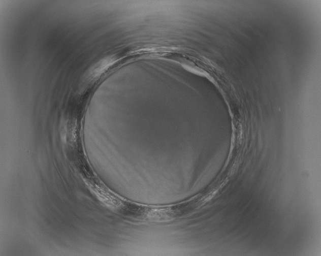 X0000080811161200701021308