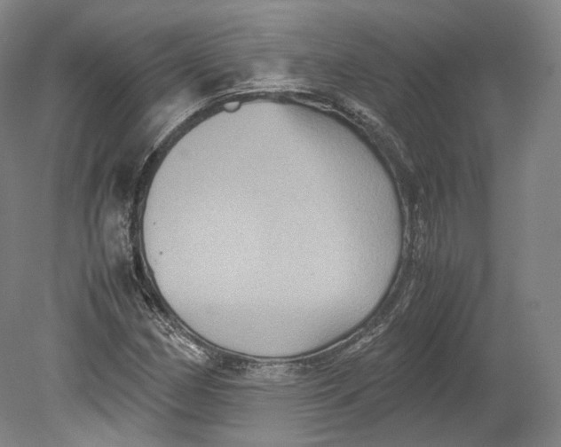 X0000080811162200701021308