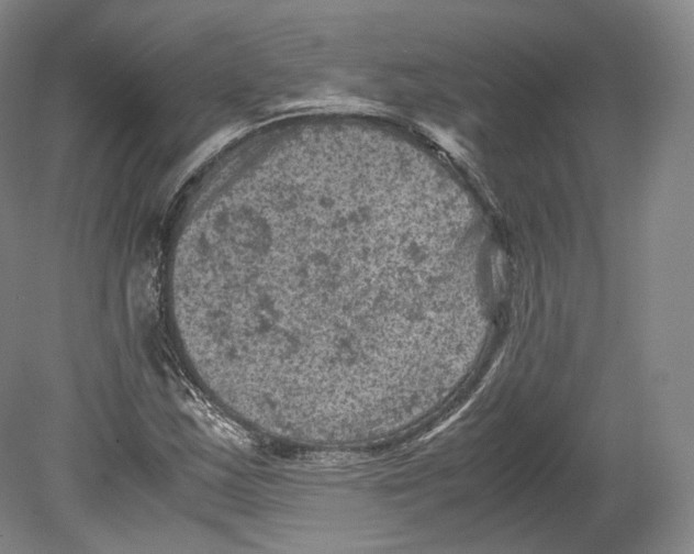 X0000080811163200701021308